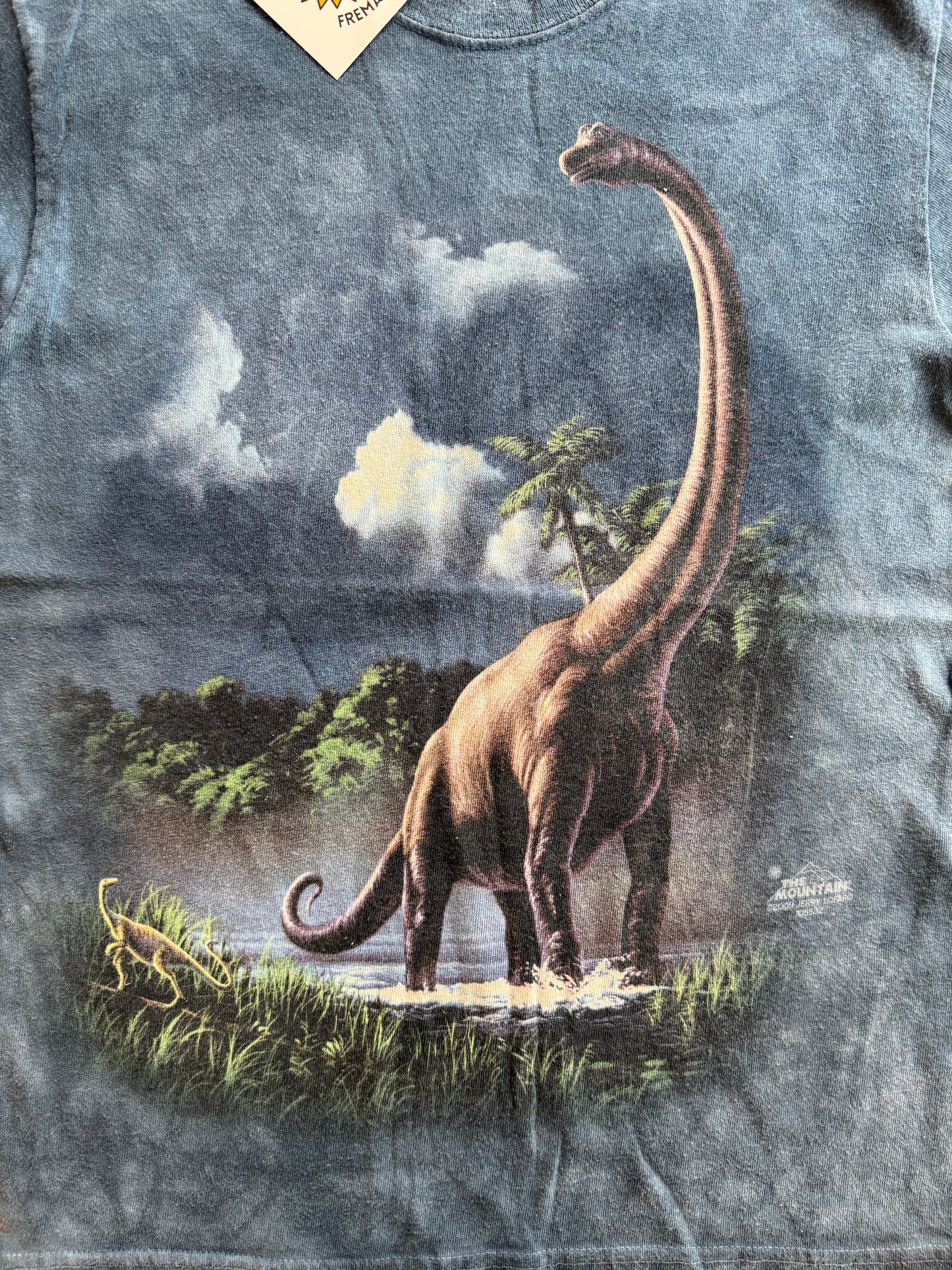 Kids Vintage Dinosaur Tee Size 8-10