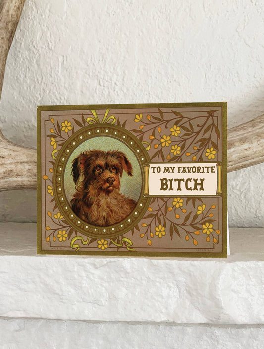 To My Favorite Bitch Card - Funny Love Friendship Cards