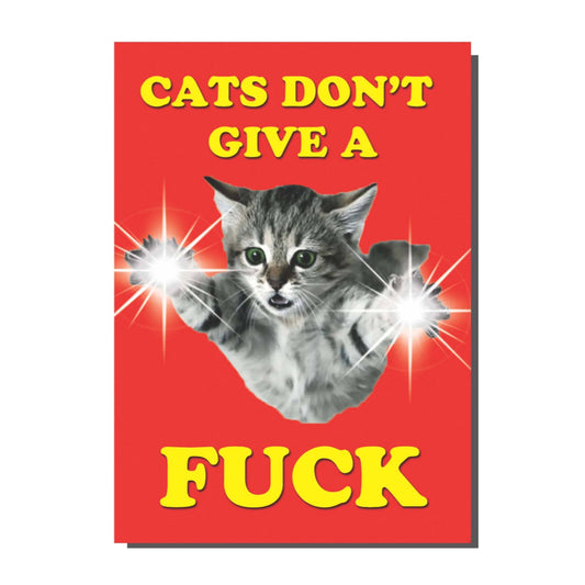 Cats don't Give A f*** Greetings Card