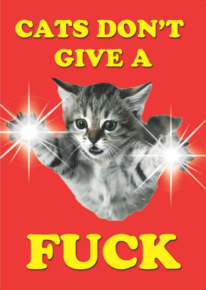 Cats don't Give A f*** Greetings Card