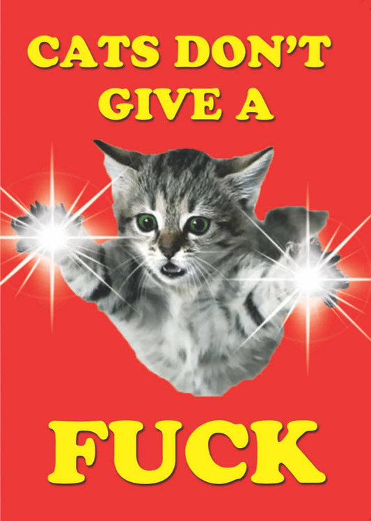 Cats don't Give A f*** Greetings Card